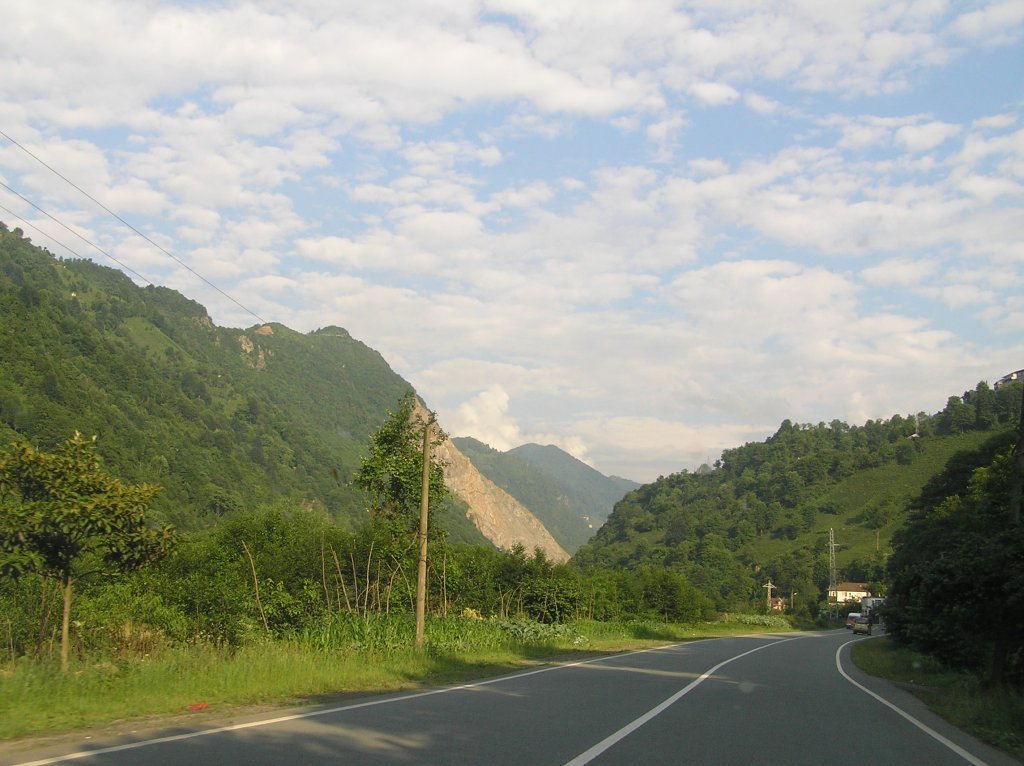 P7210267.JPG