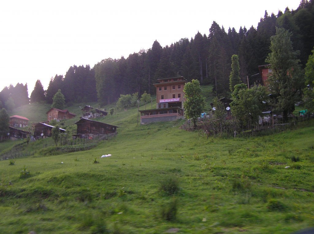 P7210289.JPG