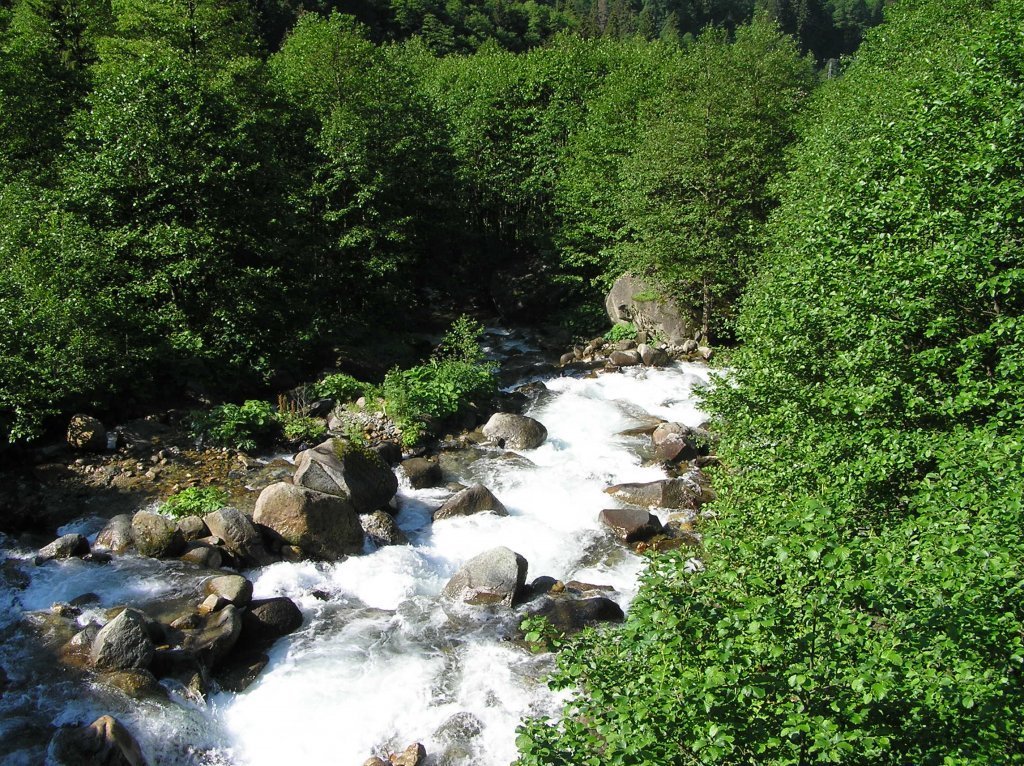 P7220301.JPG