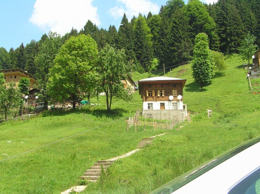 P7220333.JPG