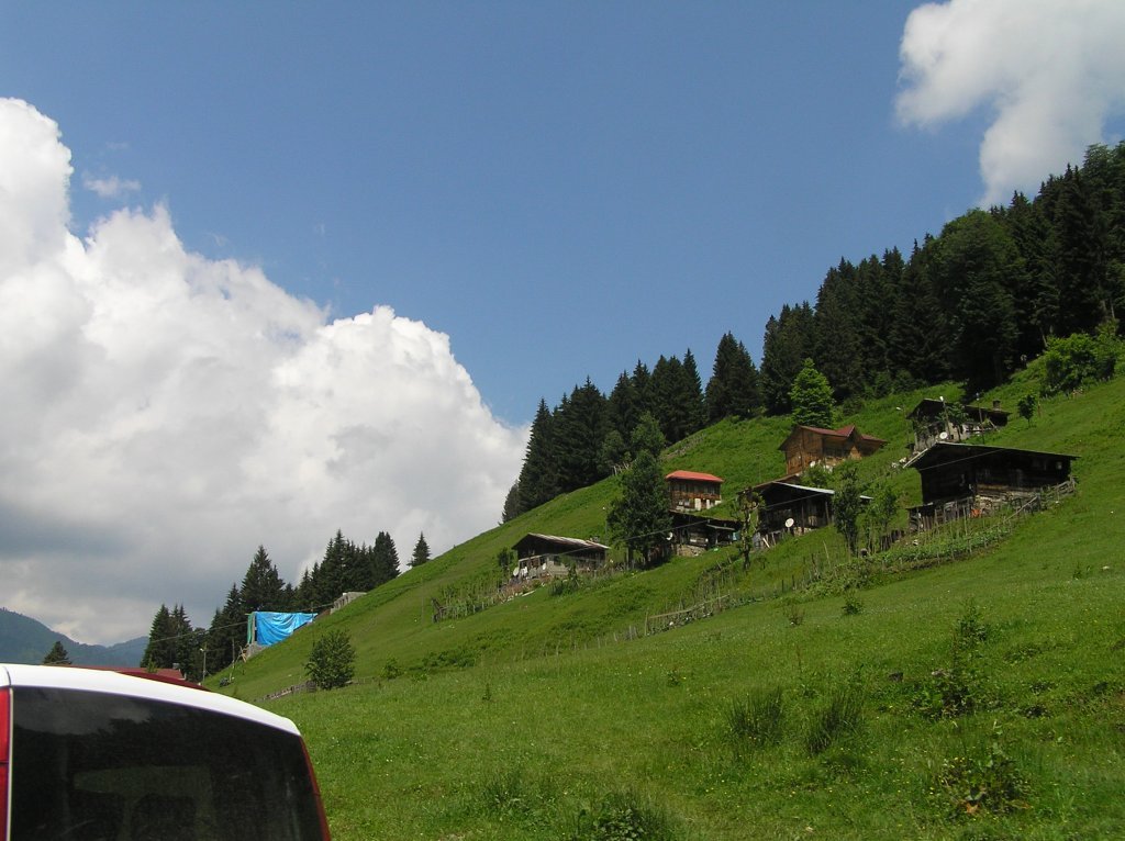 P7220336.JPG