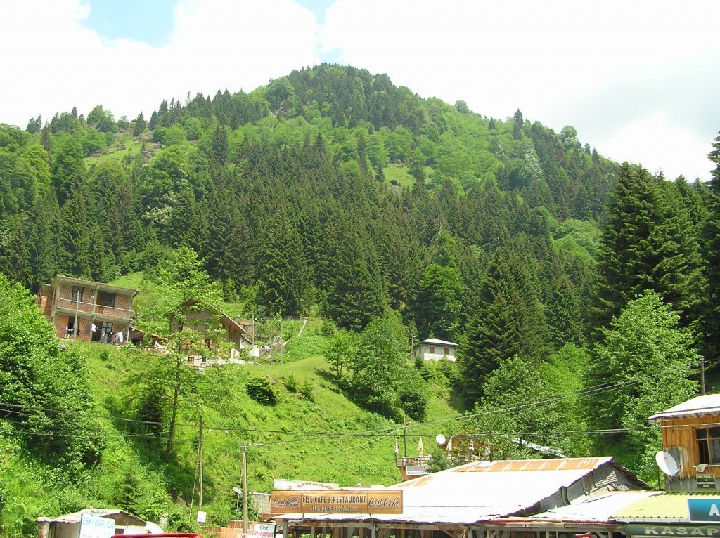 P7220343.JPG