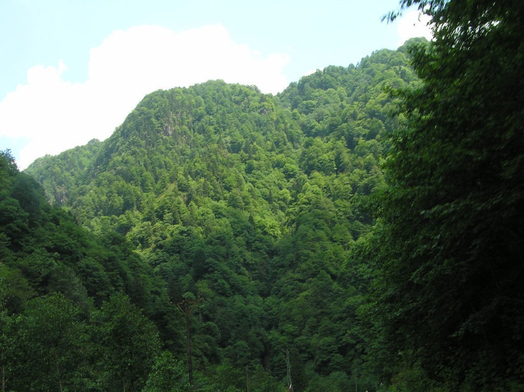 P7220376.JPG