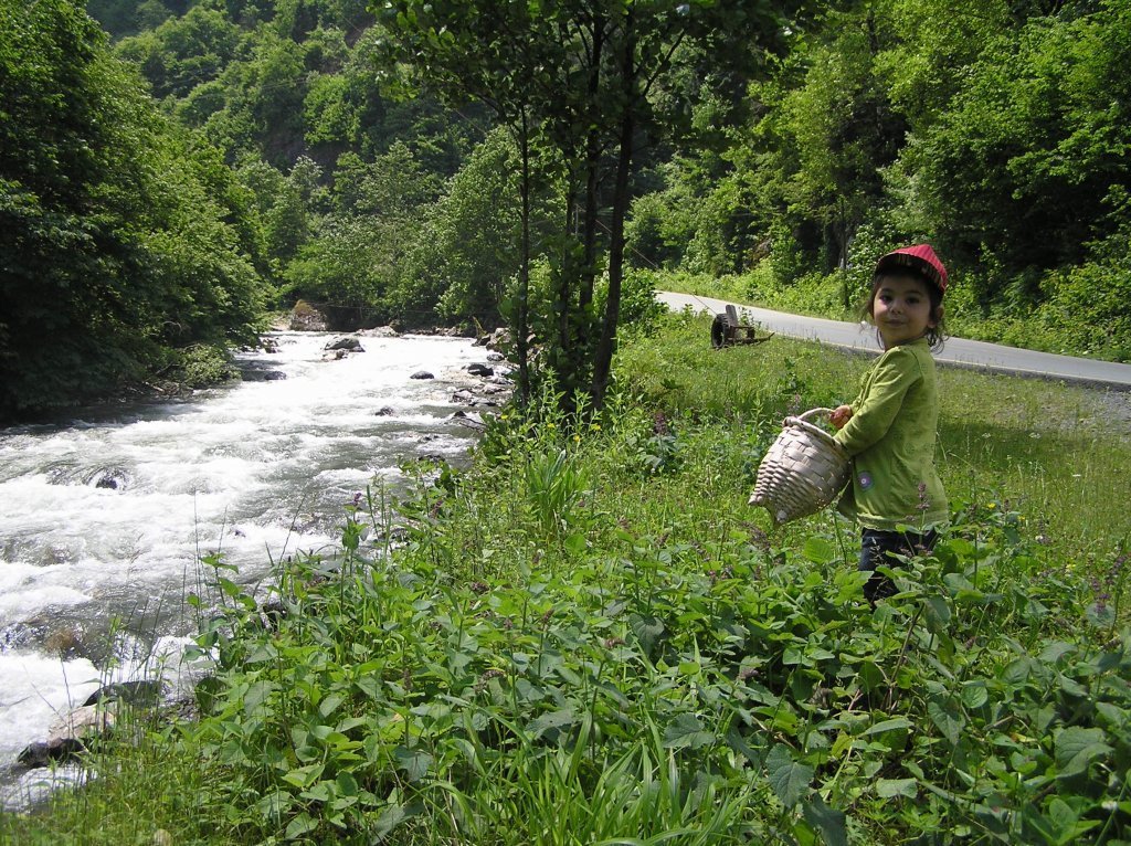 P7220393.JPG