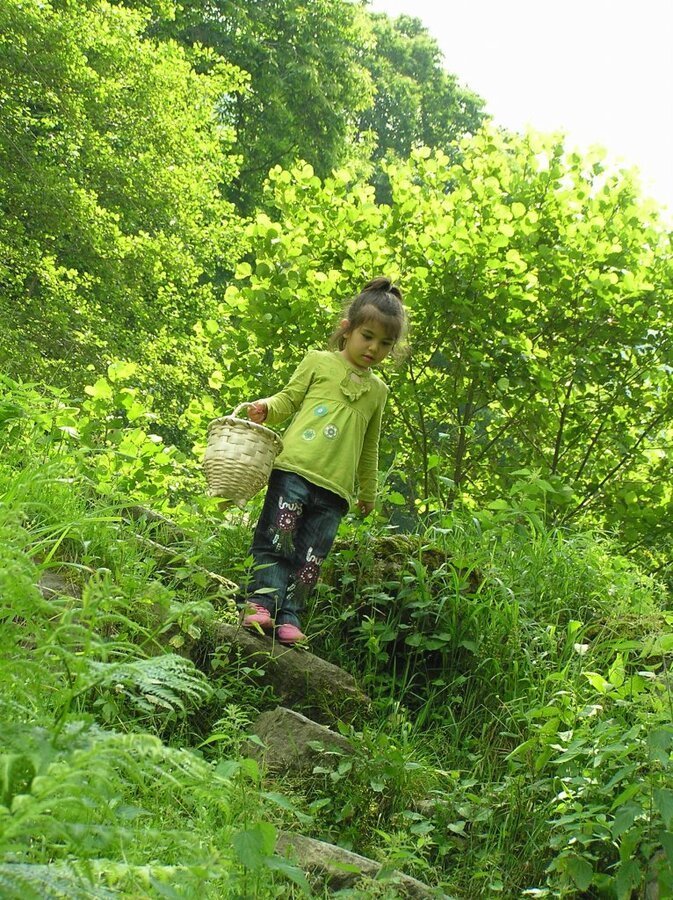 P7220425.JPG
