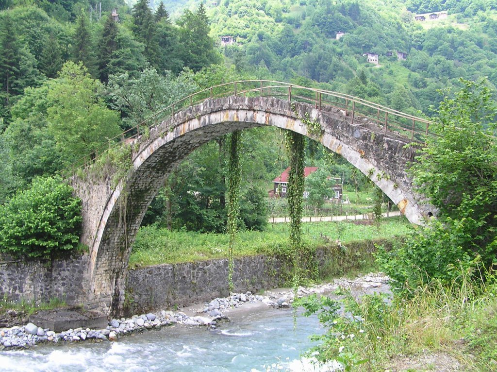 P7220436.JPG