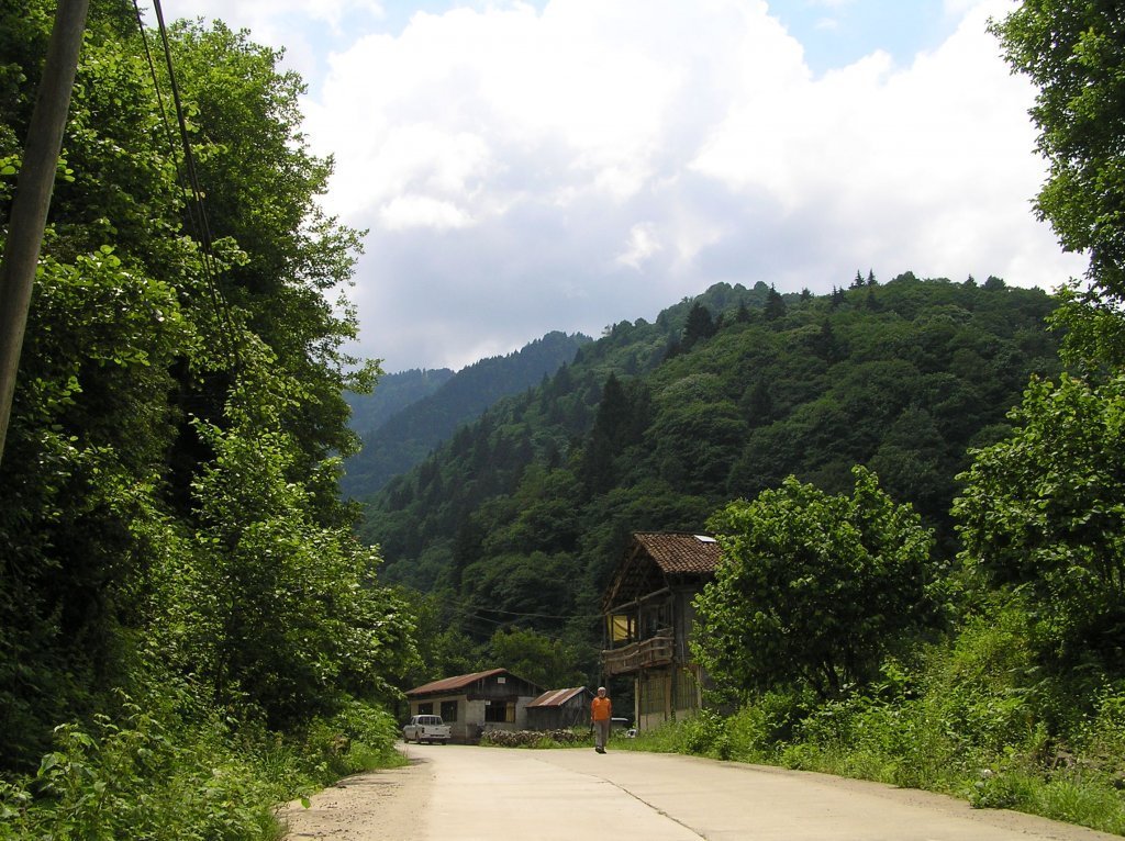 P7220437.JPG