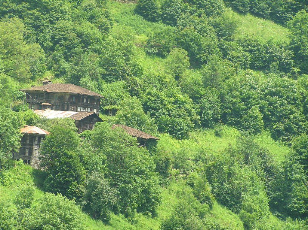P7220439.JPG