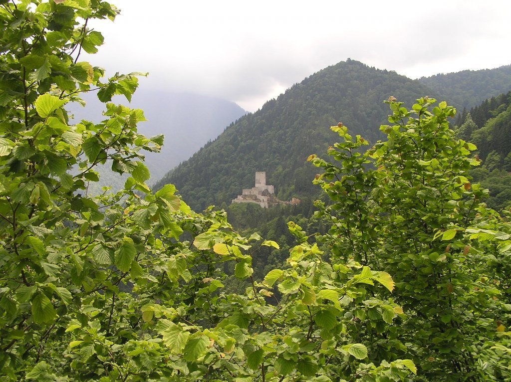 P7220442.JPG