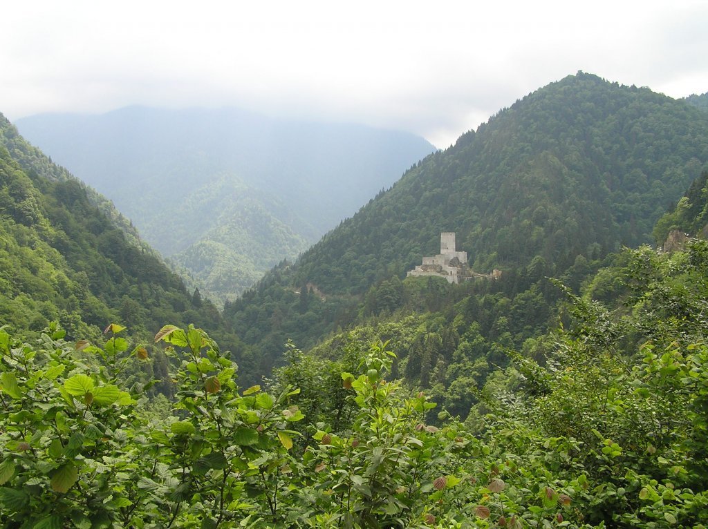 P7220444.JPG