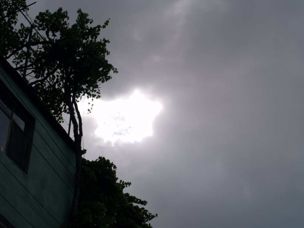 P8010008.JPG