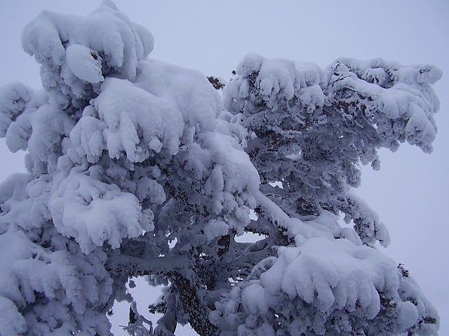 P8050041[1].jpg