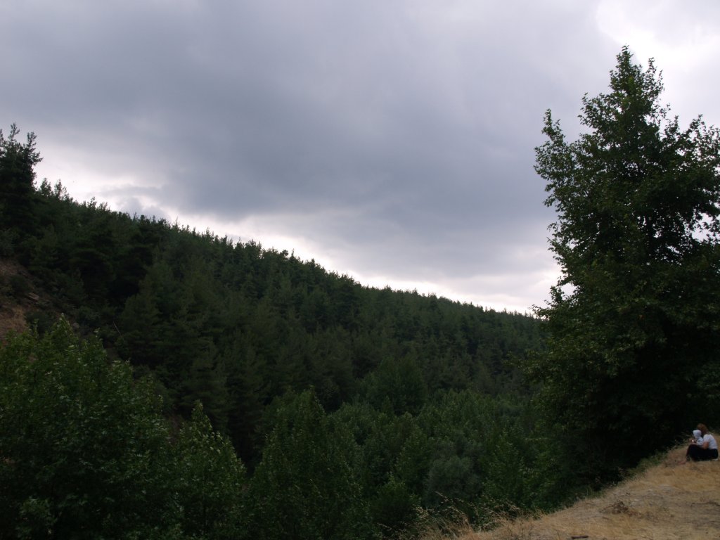 P8120002.JPG