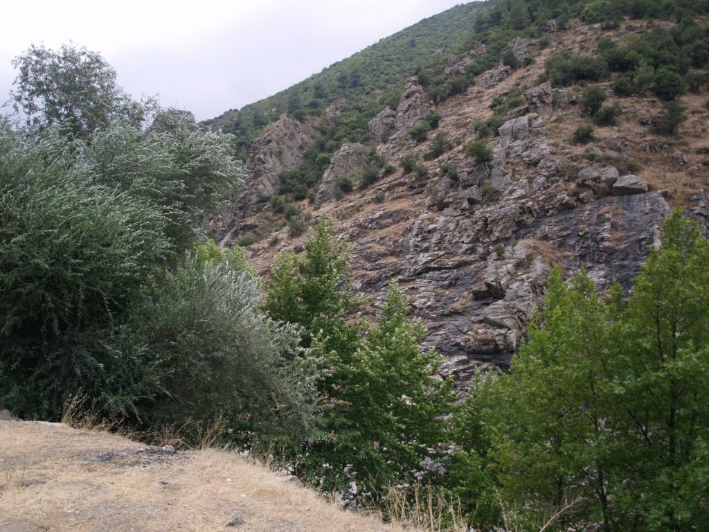 P8120003.JPG