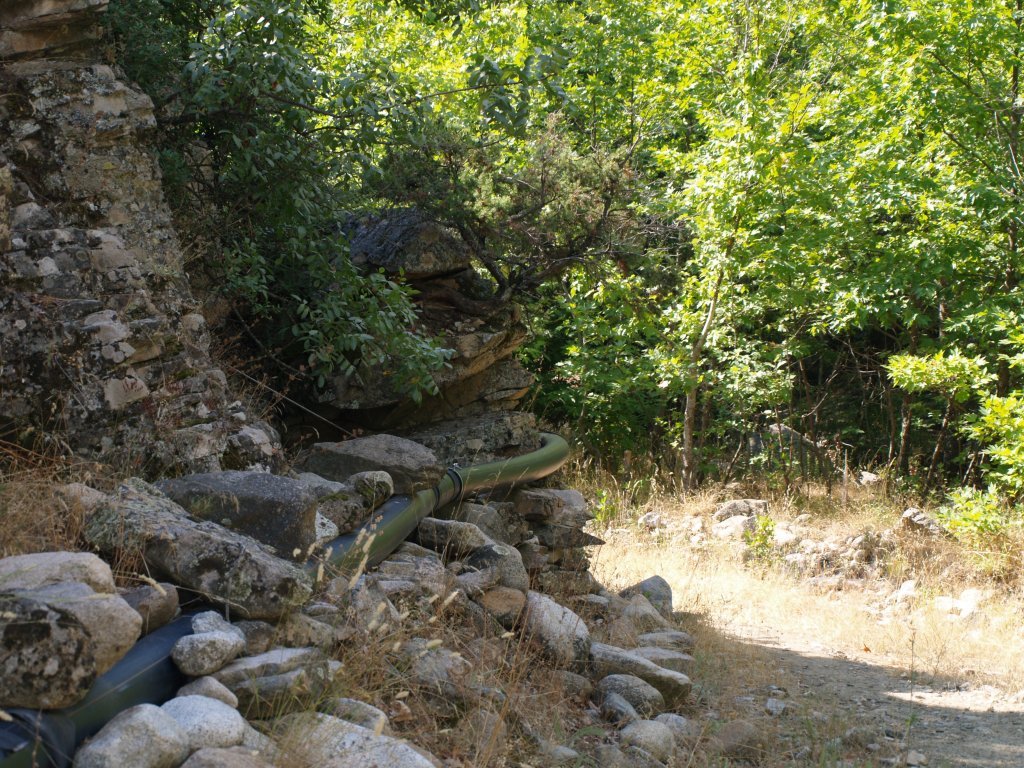 P8130089.JPG