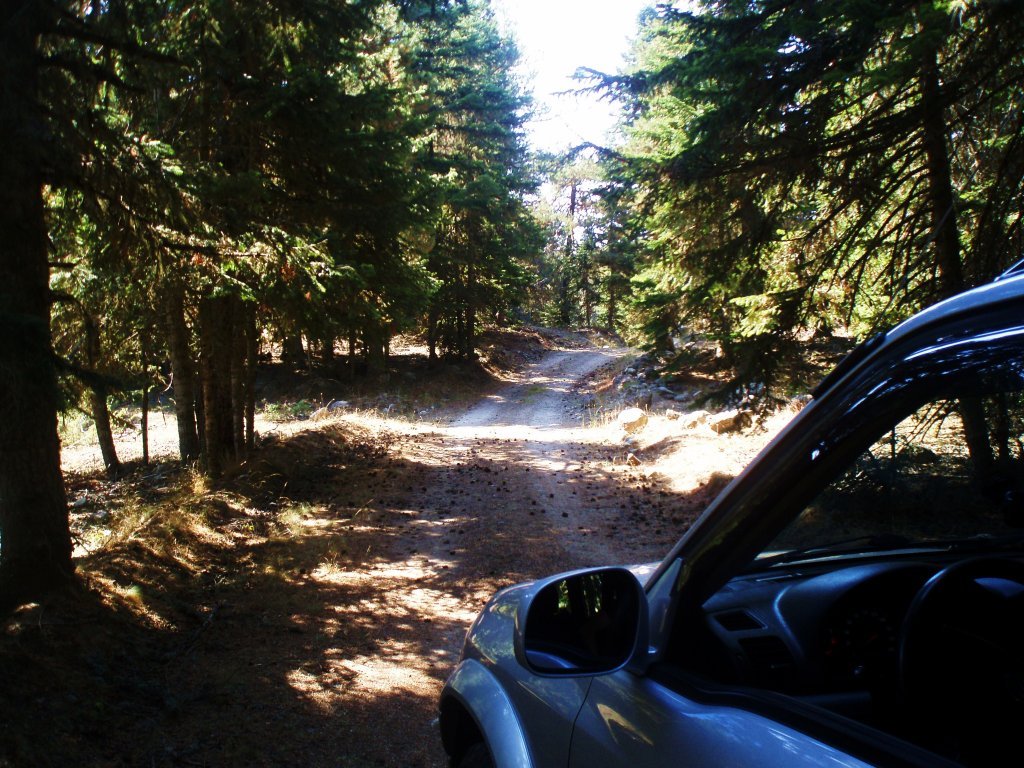 P9080003.JPG