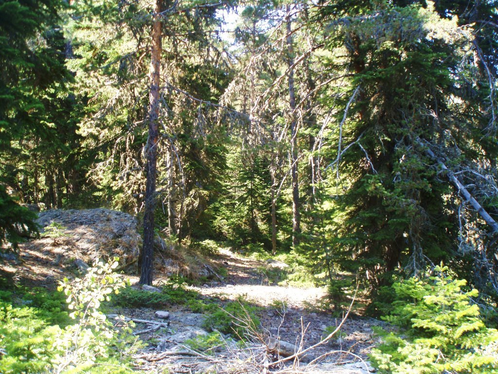 P9080031.JPG