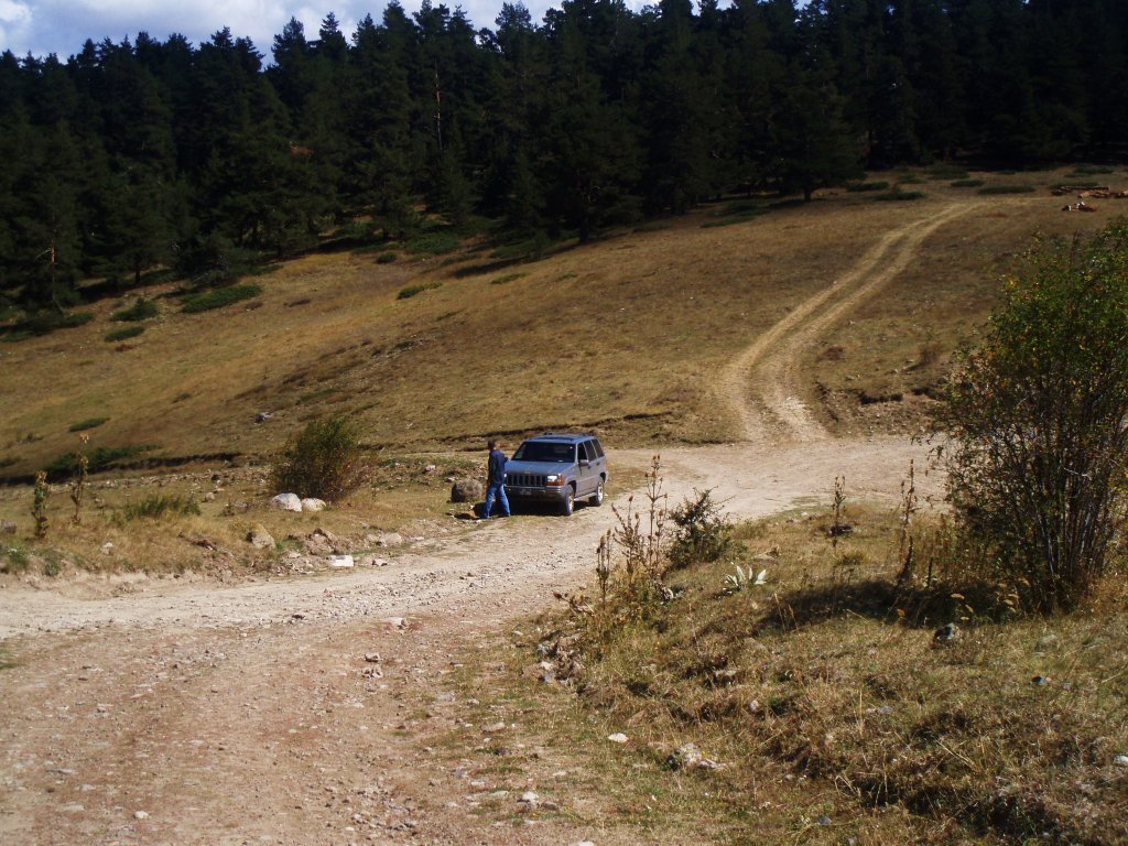 P9090105.JPG