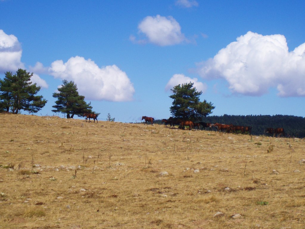 P9090131.JPG