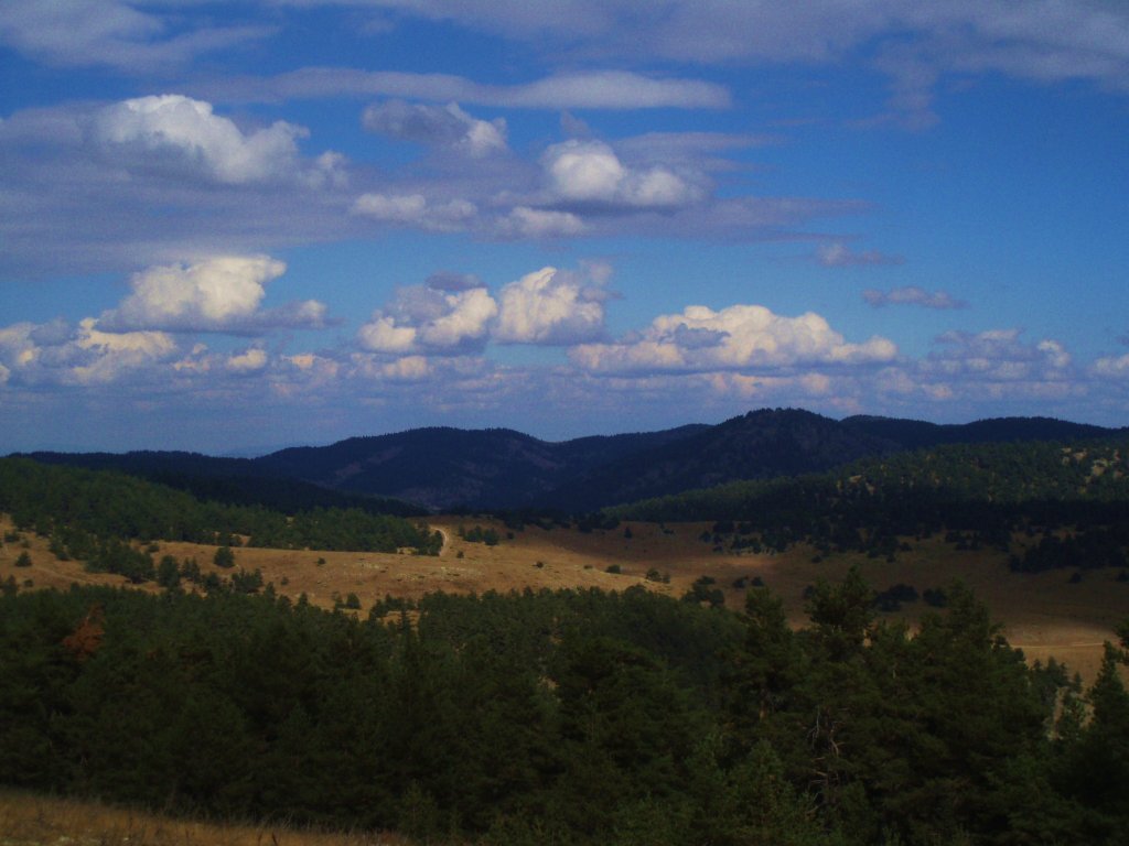 P9090163.JPG