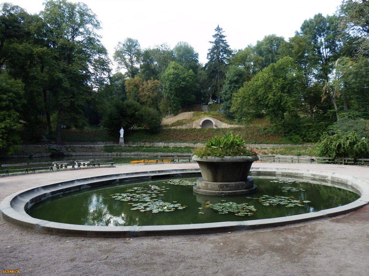 P9120147.JPG