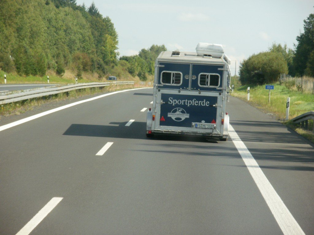 P9161053.JPG