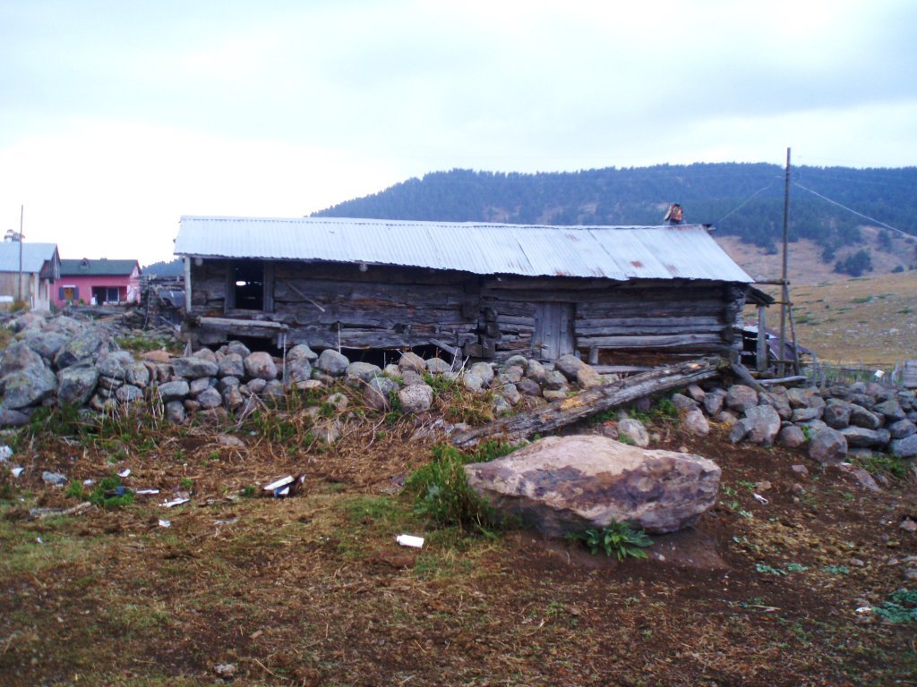 P9200212.JPG