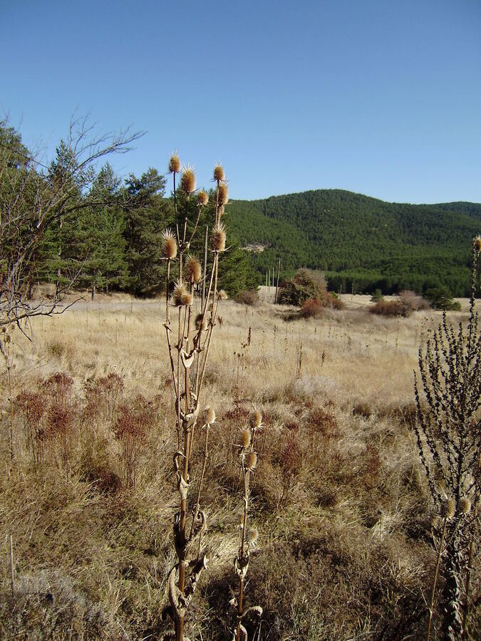 P9230371.jpg