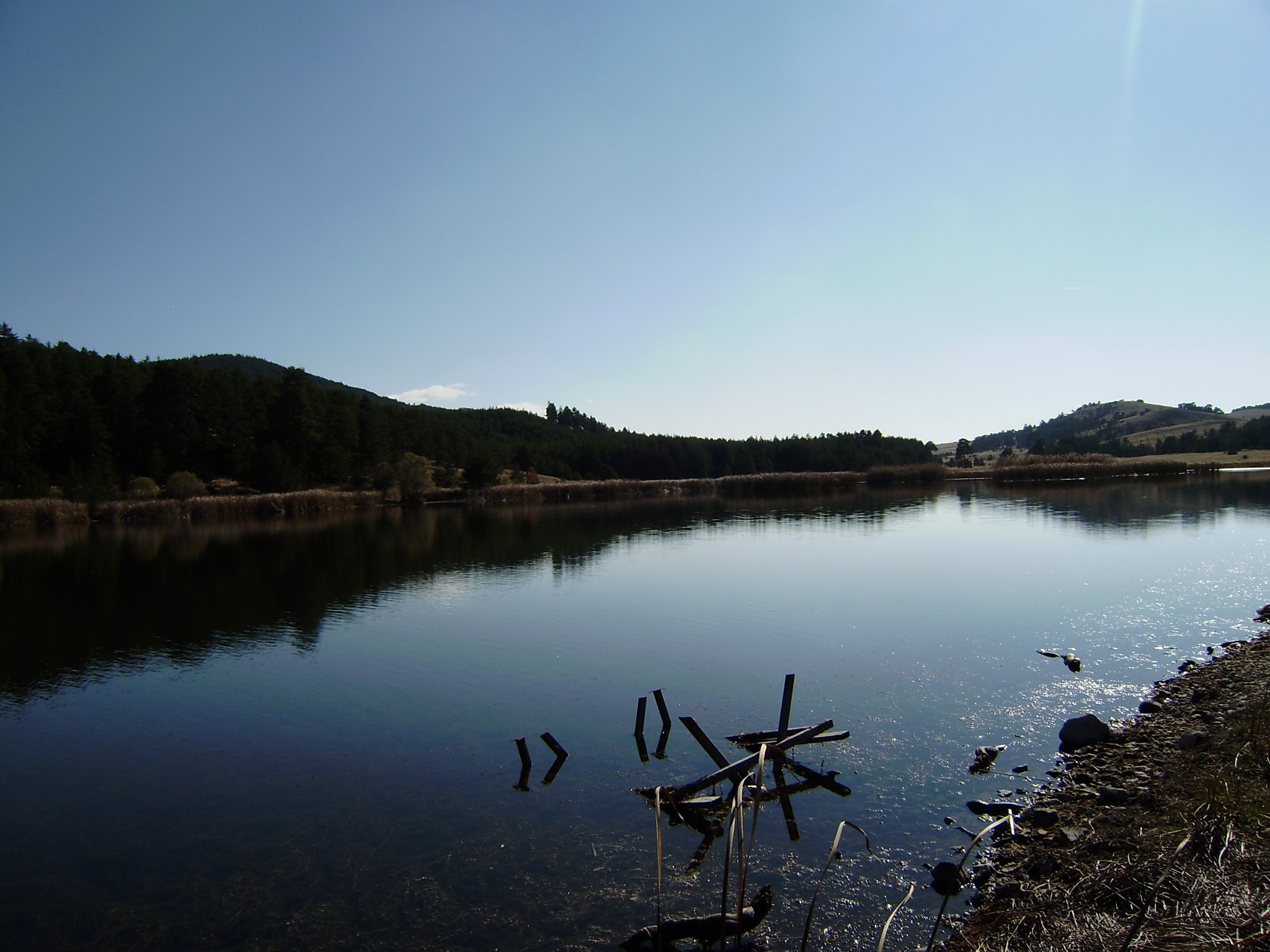 P9230390.jpg