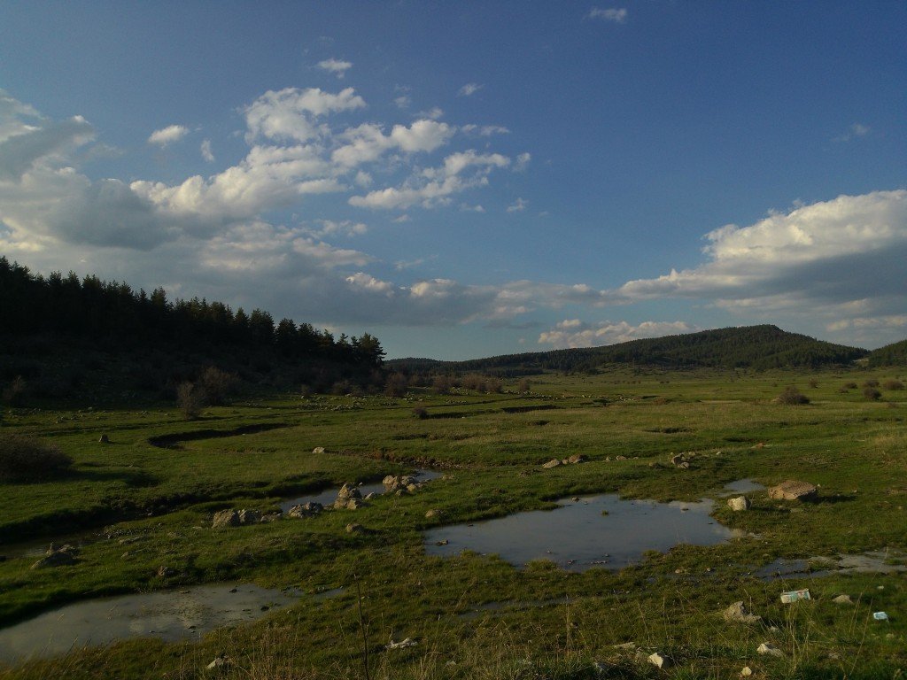 P_20130428_175941.jpg