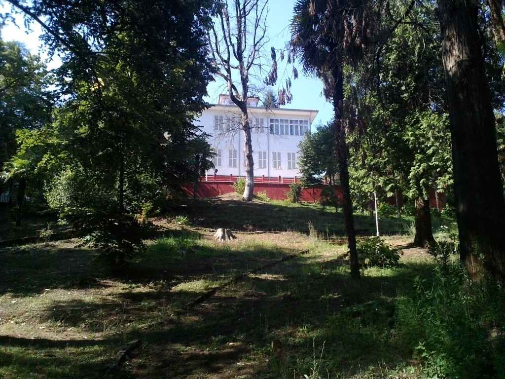 P_20140823_103941.jpg