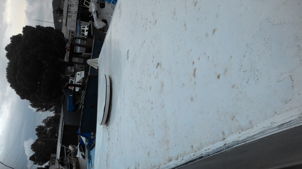 P_20150101_164751[1].jpg