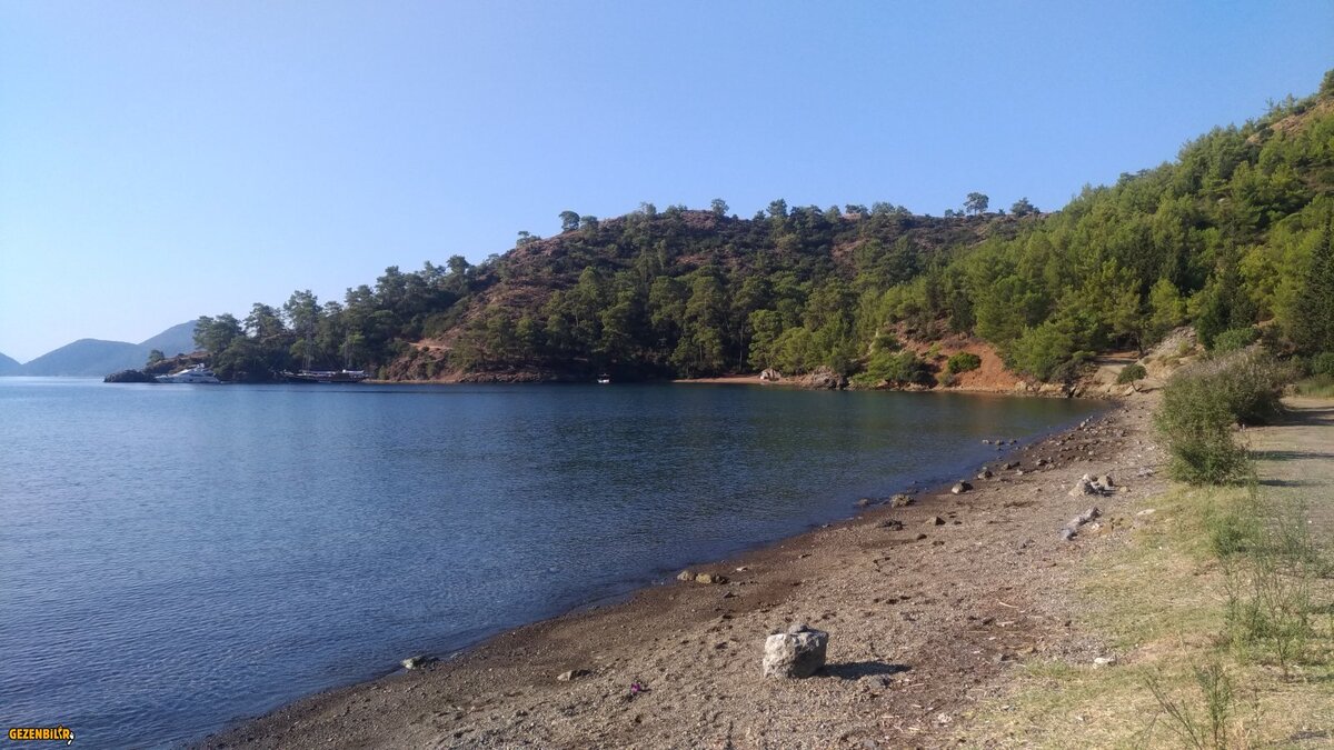 P_20180702_080033_vHDR_On.jpg