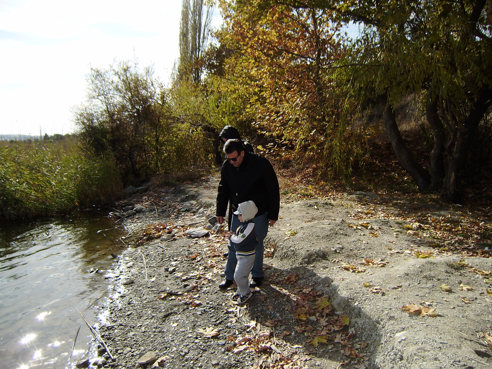 PA010402.jpg