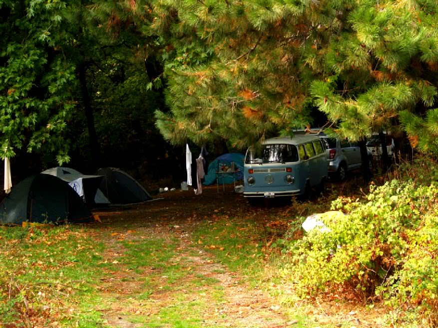 PA037272.jpg
