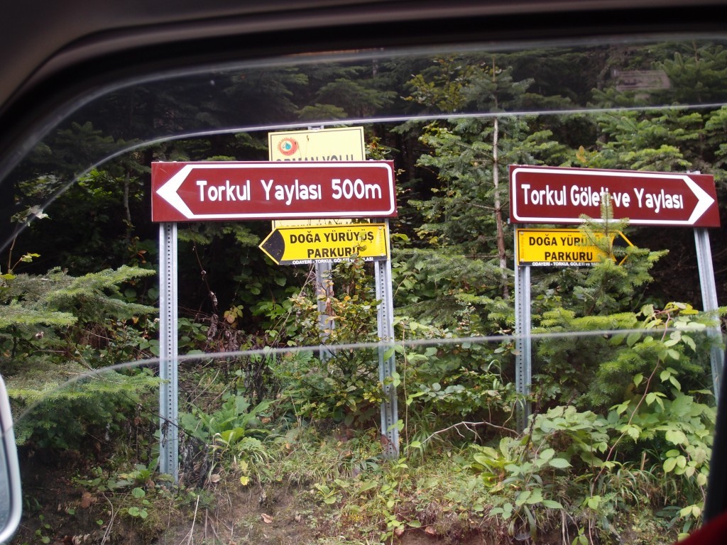 PA042026.JPG