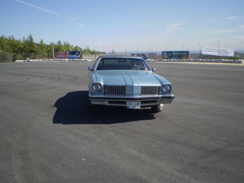 PA100082.jpg