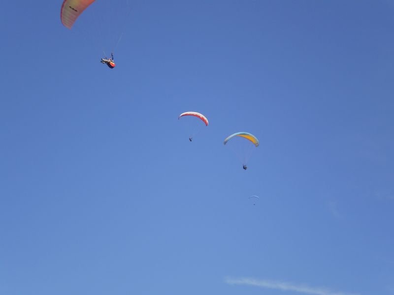 PA100086.jpg