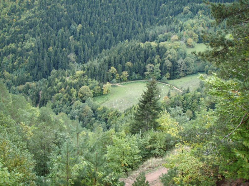 PA100608.jpg