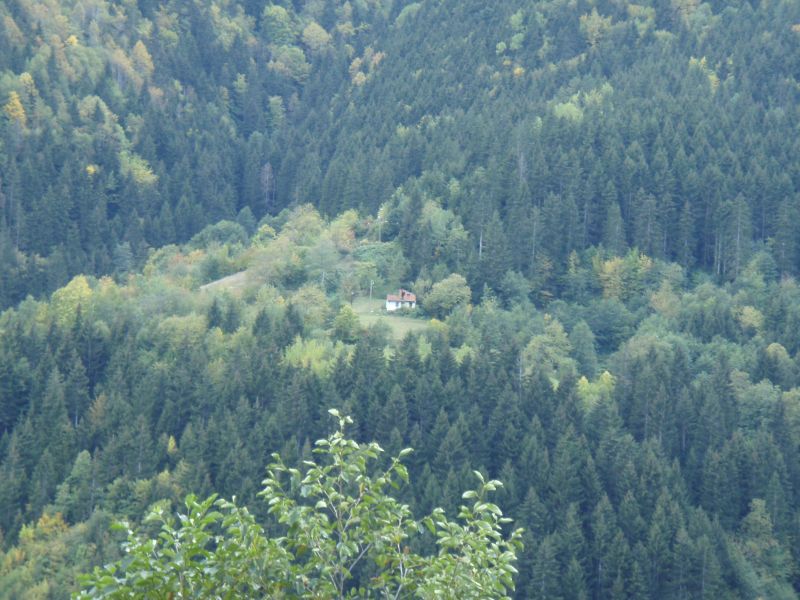 PA100610.jpg