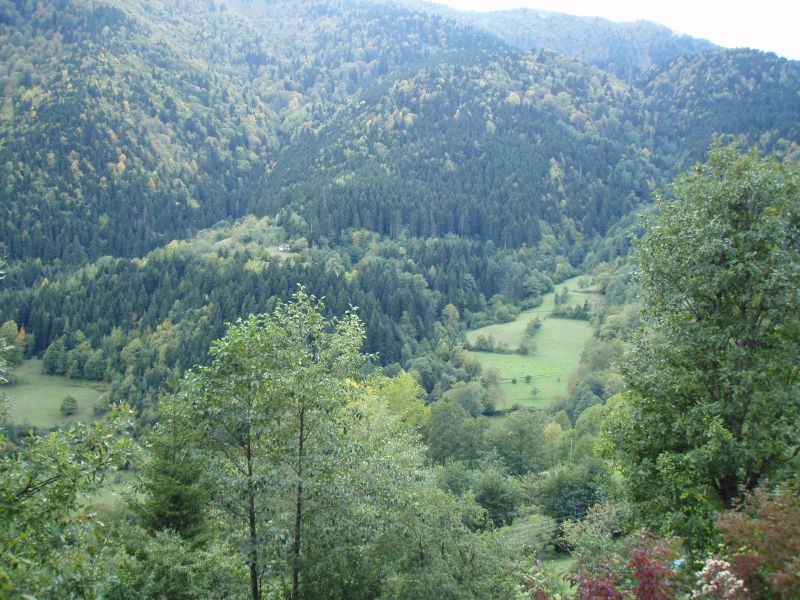 PA100611.jpg