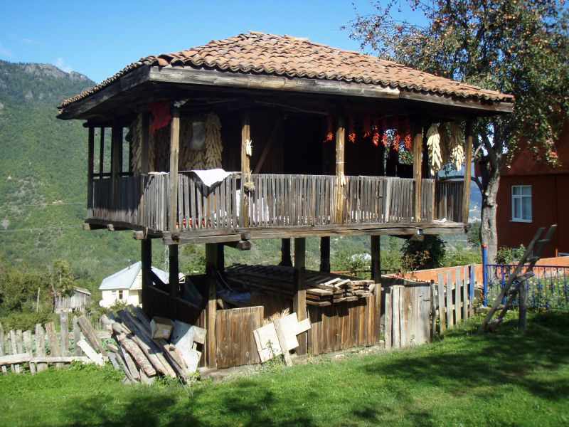 PA110676.jpg