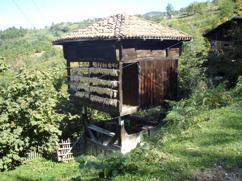PA110695.jpg