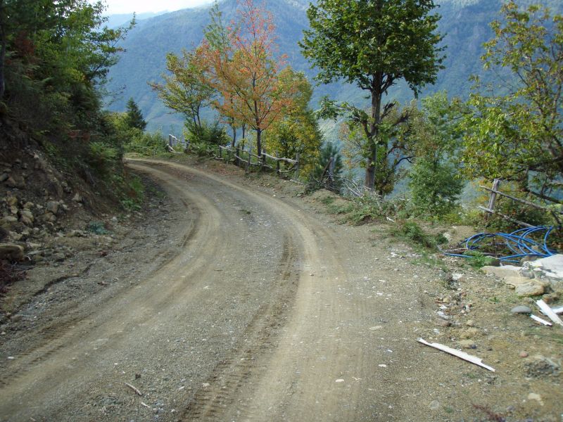 PA110727.jpg