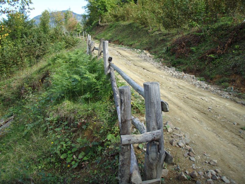 PA110769.jpg