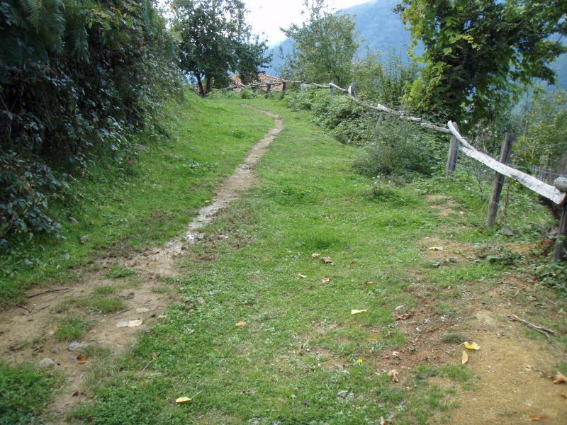 PA110832.jpg