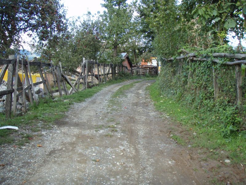 PA110866.jpg
