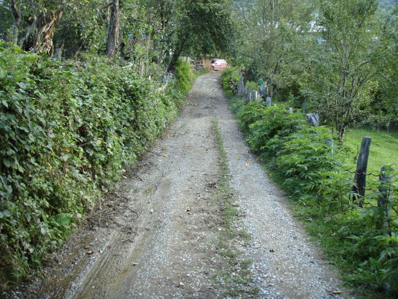 PA110876.jpg