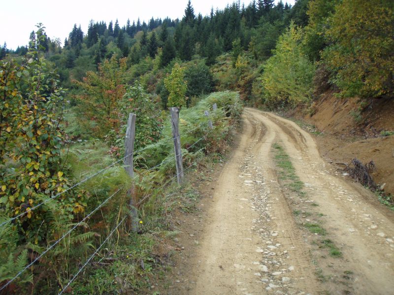 PA120944.jpg