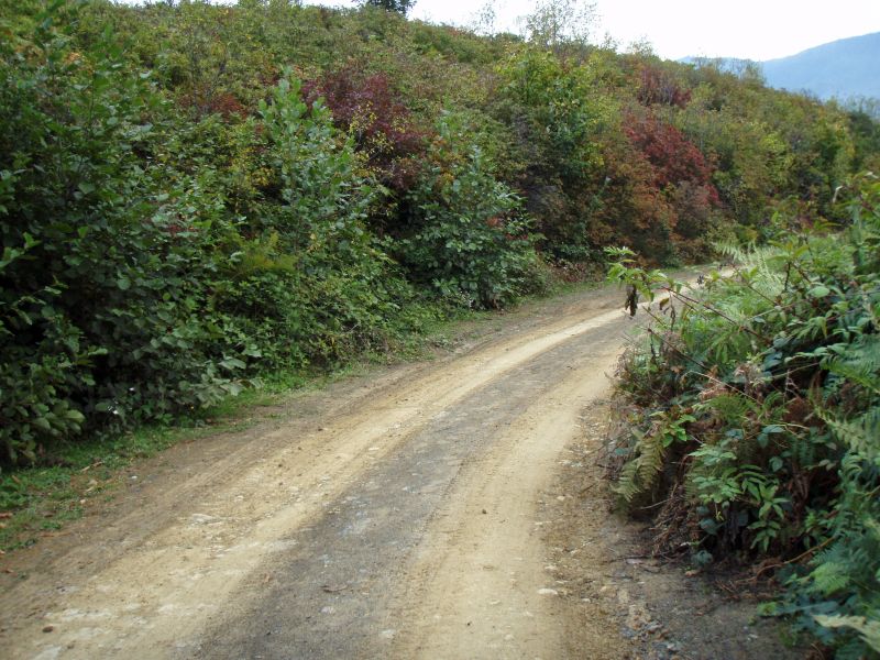 PA120945.jpg